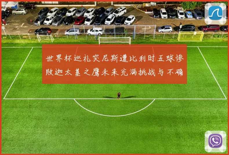 世界杯巡礼突尼斯遭比利时五球惨败迦太基之鹰未来充满挑战与不确定性